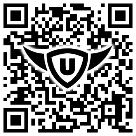 QR-Code Stonies