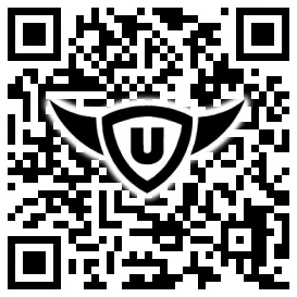 QR-Code Stonies
