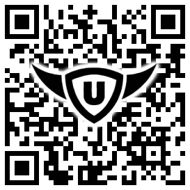 QR-Code Stonies