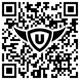 QR-Code Stonies