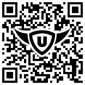 QR-Code Stonies
