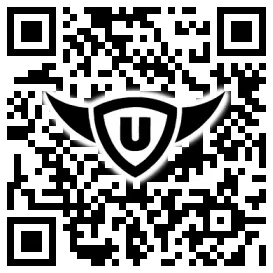 QR-Code Stonies
