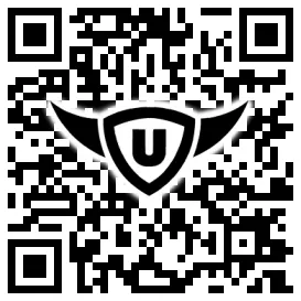 QR-Code Stonies