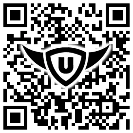 QR-Code Stonies